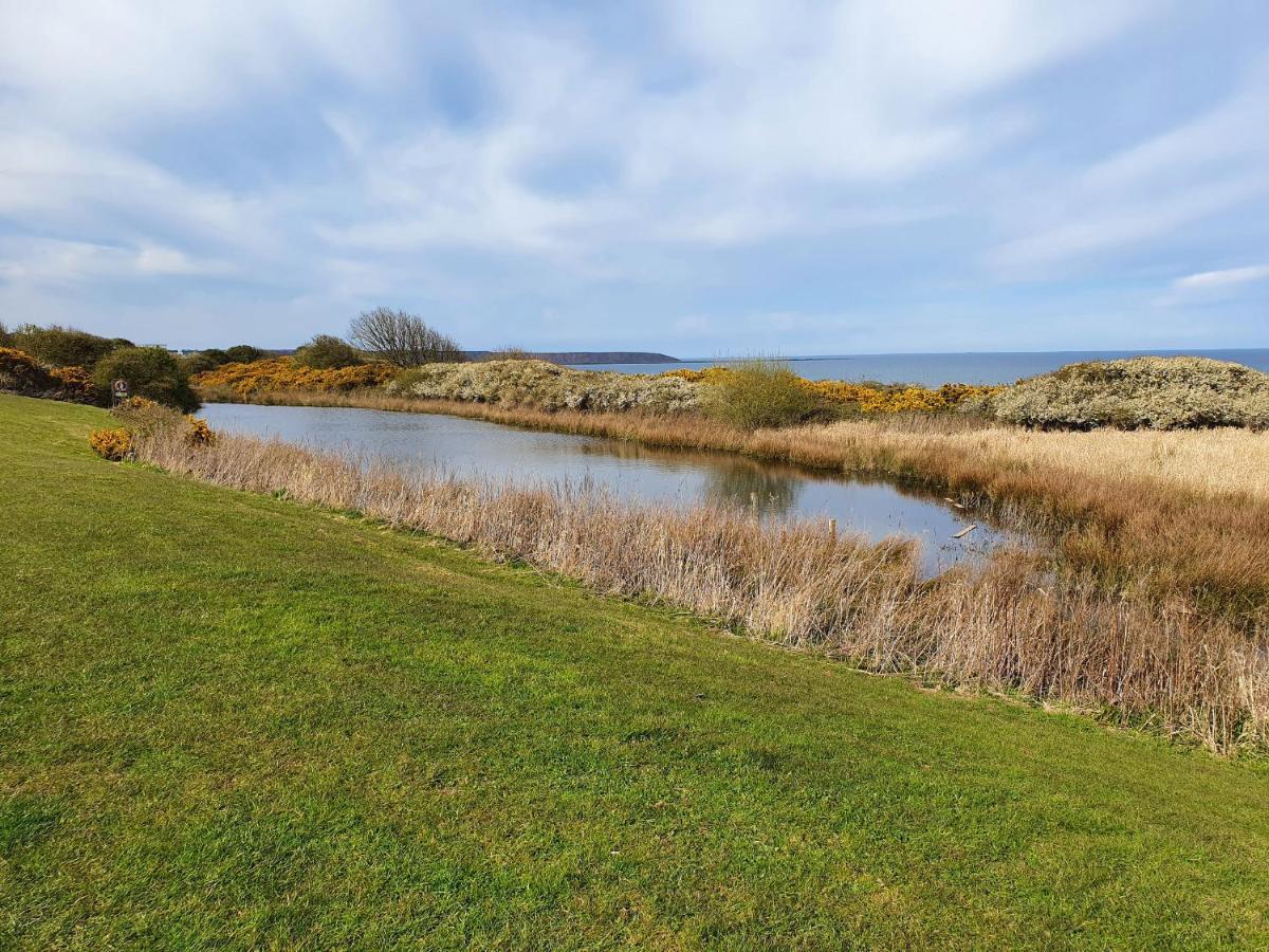Puffin Cottage Filey Eksteriør billede